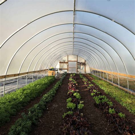 hoop house sided in metal and wood|metal hoop greenhouse.